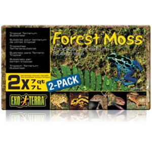 Exo-Terra Forest Moss